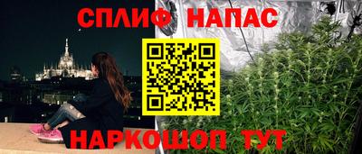 apvp Обь