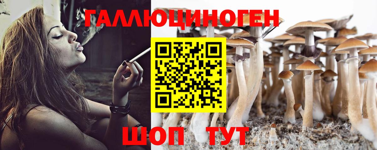 Галлюциногенные грибы Cubensis Алушта