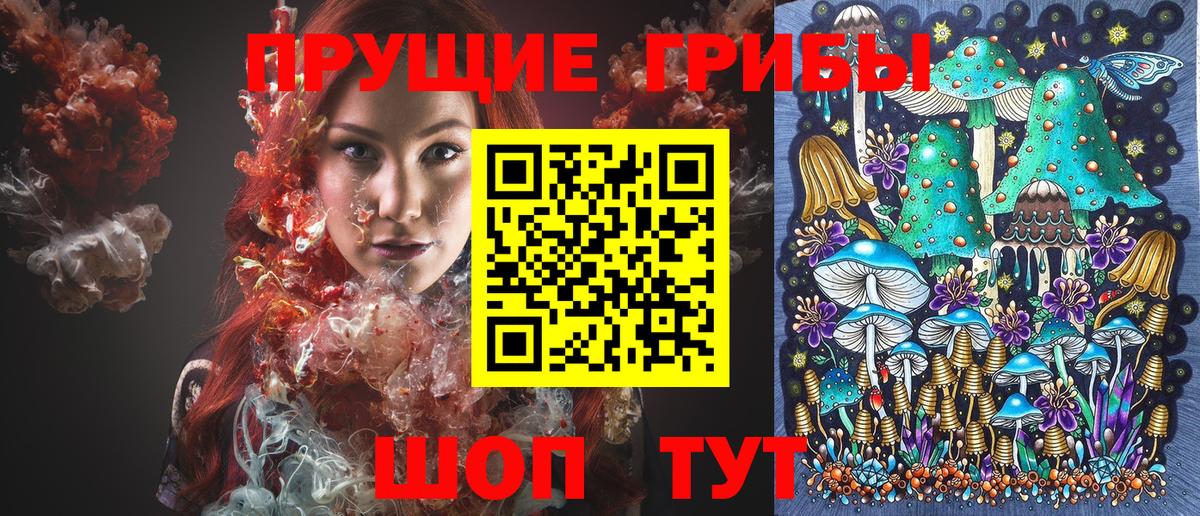 Галлюциногенные грибы Cubensis  Вход с VPN  Алушта 